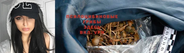 мдпв Арсеньев
