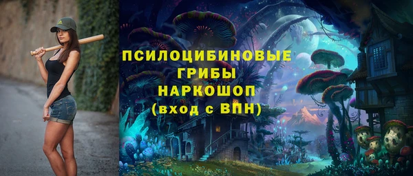 мдпв Арсеньев