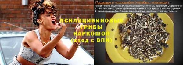 мдпв Арсеньев