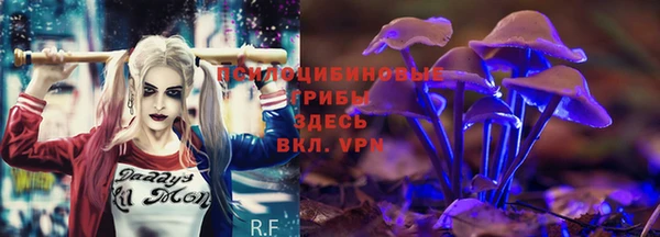 мдпв Арсеньев