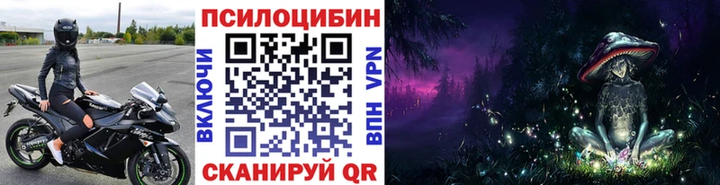 где купить наркотик Новая Ладога Галлюциногенные грибы MAGIC MUSHROOMS